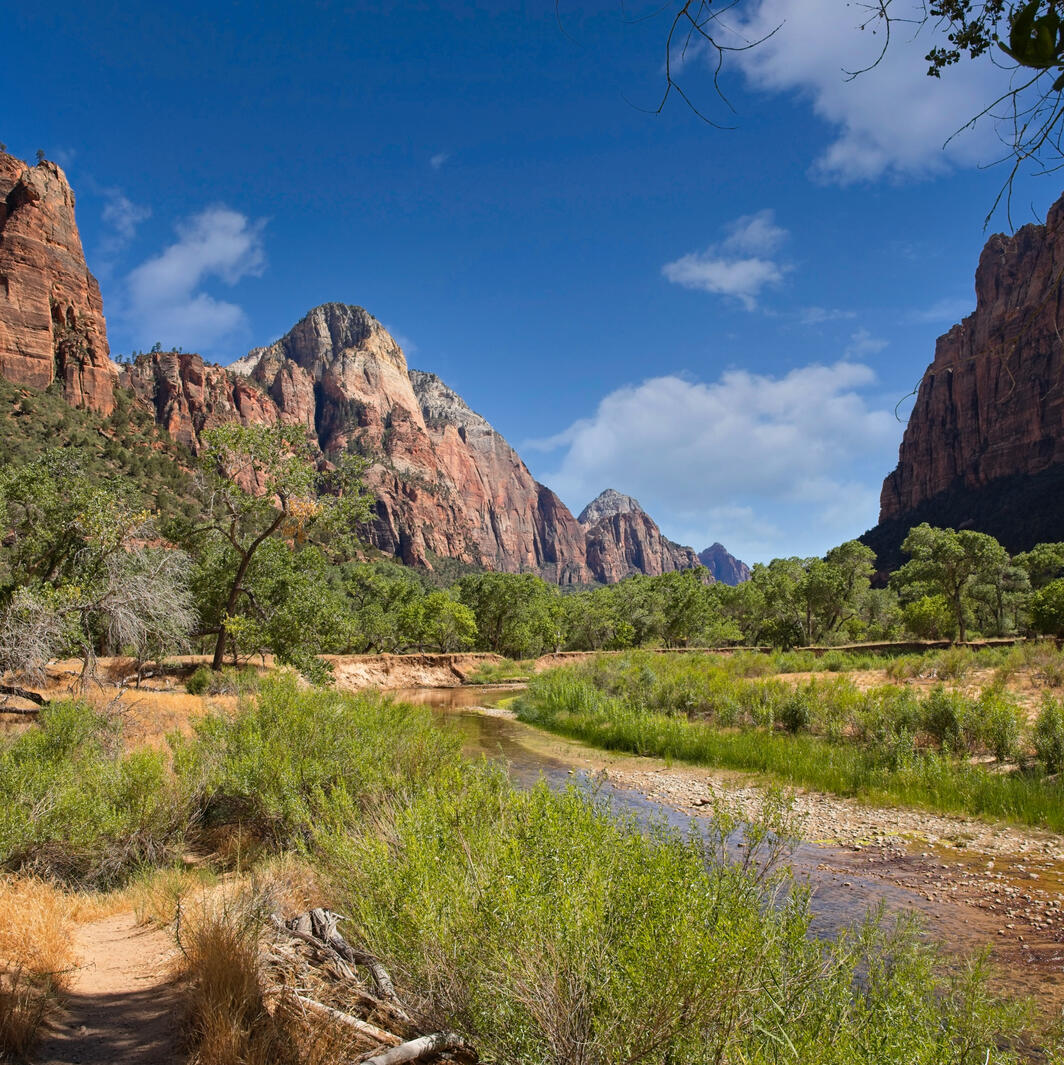 Zion National Park